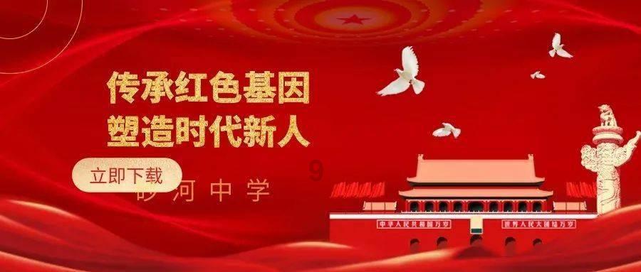 苗可秀与李小龙的不朽银幕情：从《唐山大兄》到《精武门》的合作